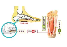 大坂直美携手姚迪战意甲后续来了(堀内秋美在老板娘2中的角色)|OG东方馆官网